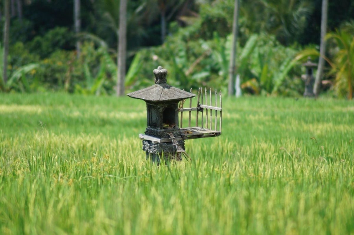 Bali hotel with private terrace and view, luxury accommodation, tropical scenery