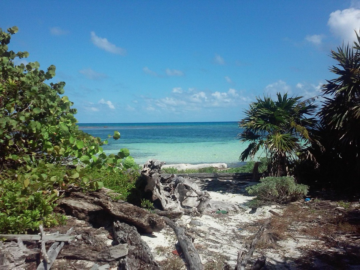Playa tropicale con fondale corallino