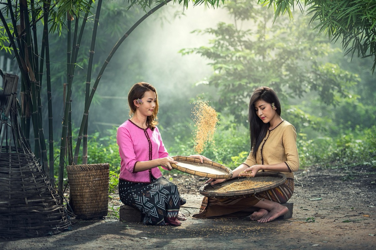 Bali Rice Terrace with Bamboo Stalks
