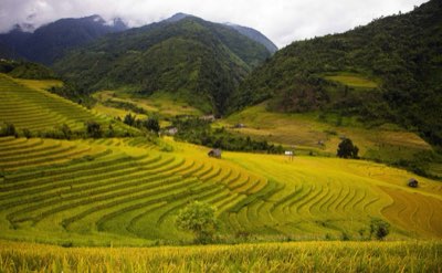 Subak e Tegallalang: Scopri il sistema idrico sacro di Bali