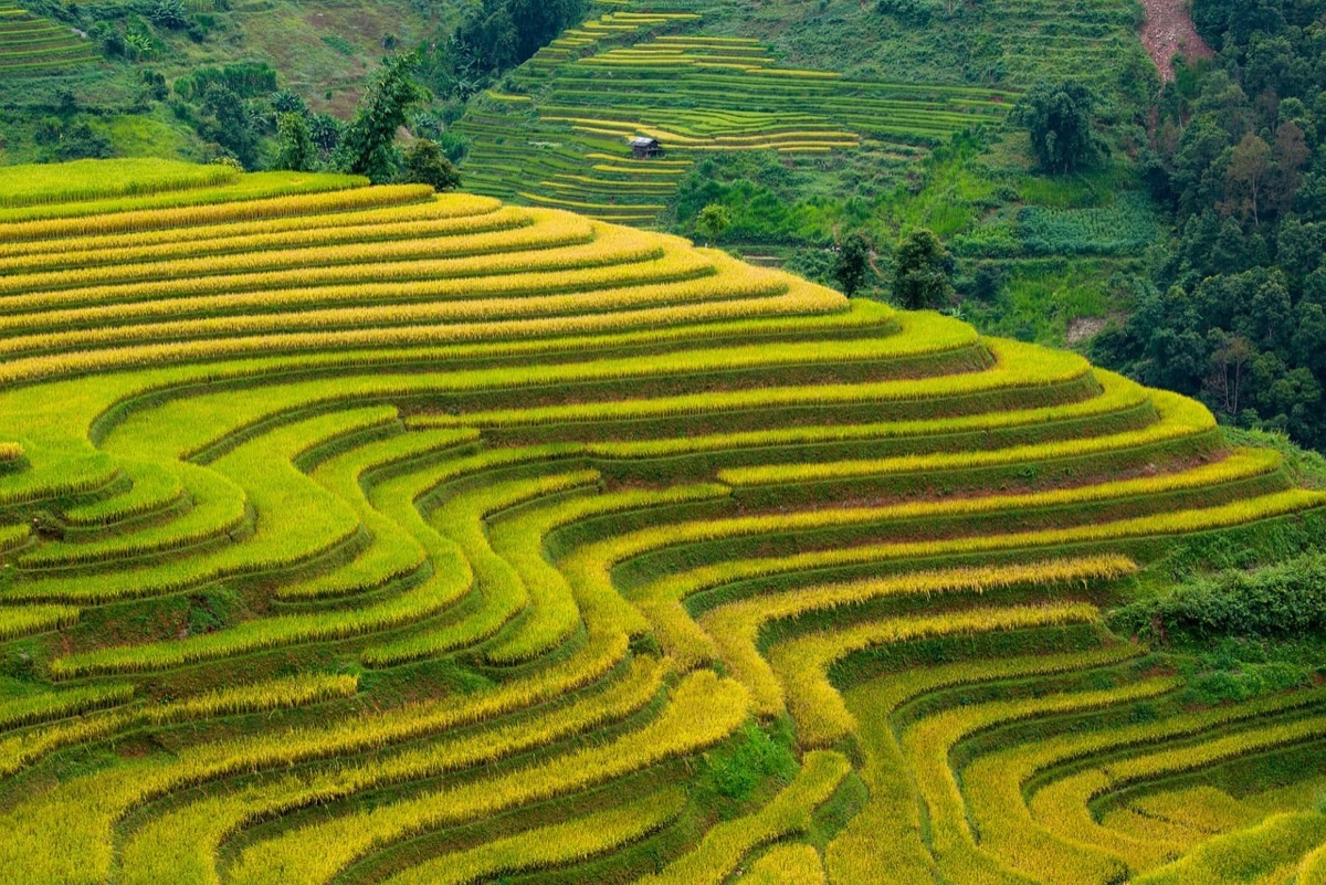 Terrazza di Ubud in luce pastello