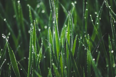 7:30 da Manhã: O Melhor Horário para os Terraços de Arroz