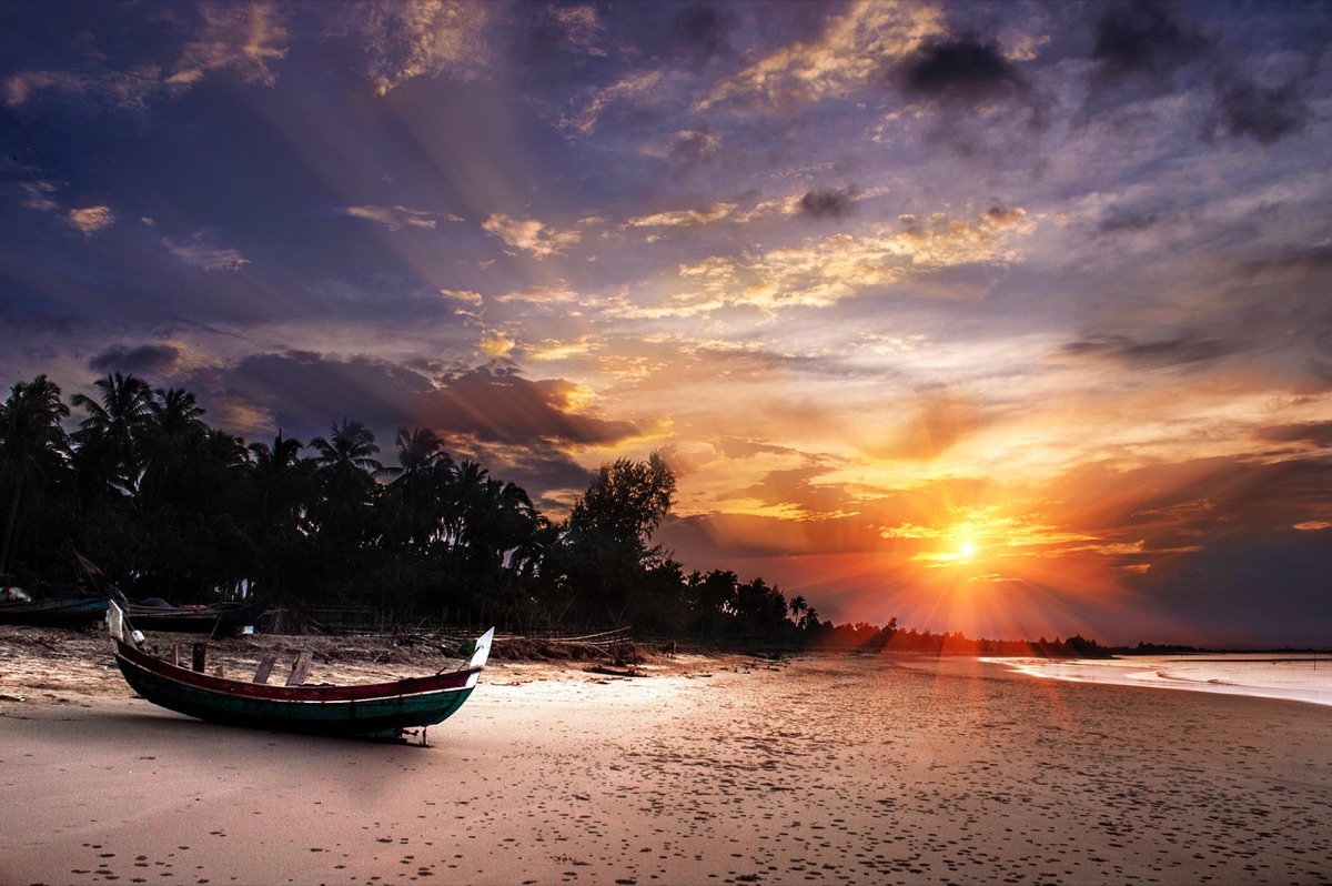 quiet beach with palm trees and distant waves