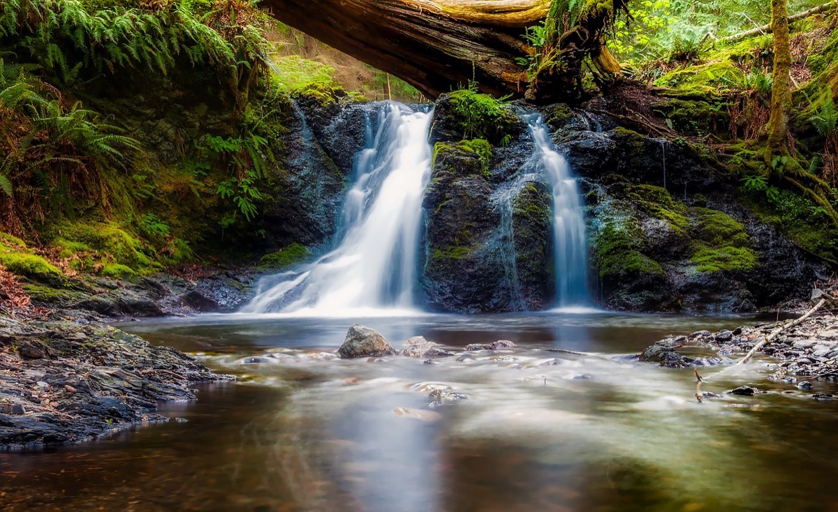 Bali waterfall in forest