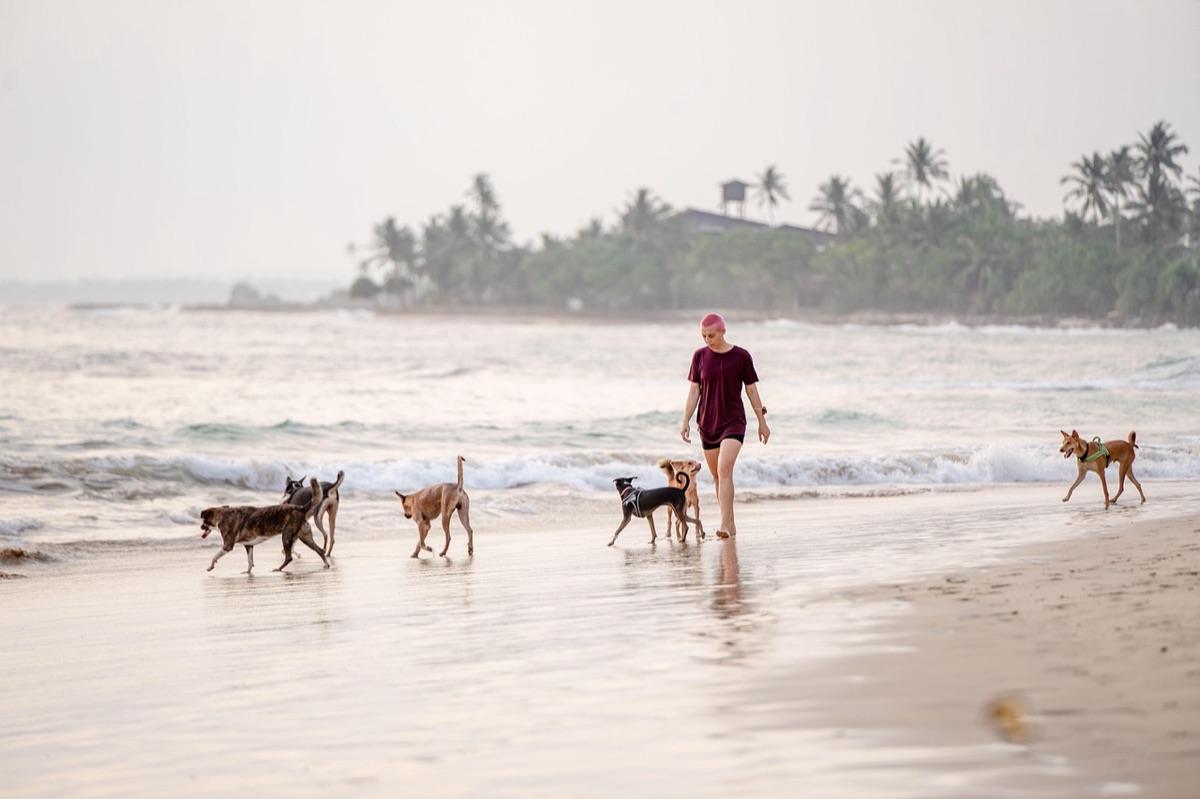 mare e palme a bali