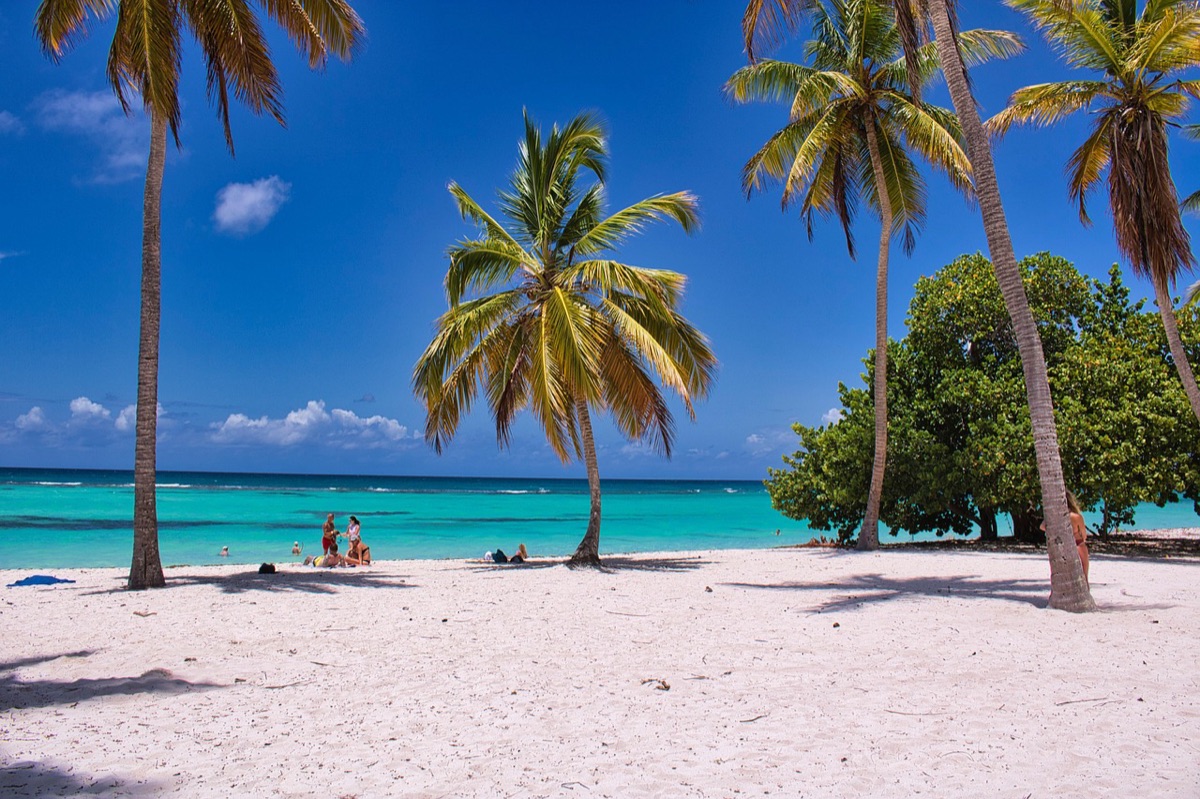 bali beach with palm trees