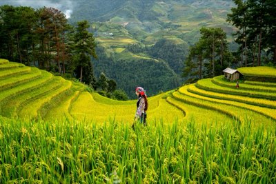 5,1% BIP-Wachstum: Indonesiens Basis für globalen Tourismus