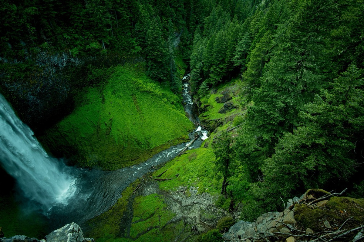 chute balinaise avec végétation