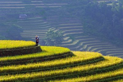 バリ島は東南アジアで最も成長する旅の最前線体験完全ガイド
