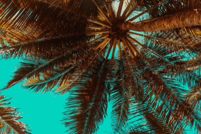 Ihr Bali-Abenteuer: Die ideale Dauer für maximale Erlebnisse